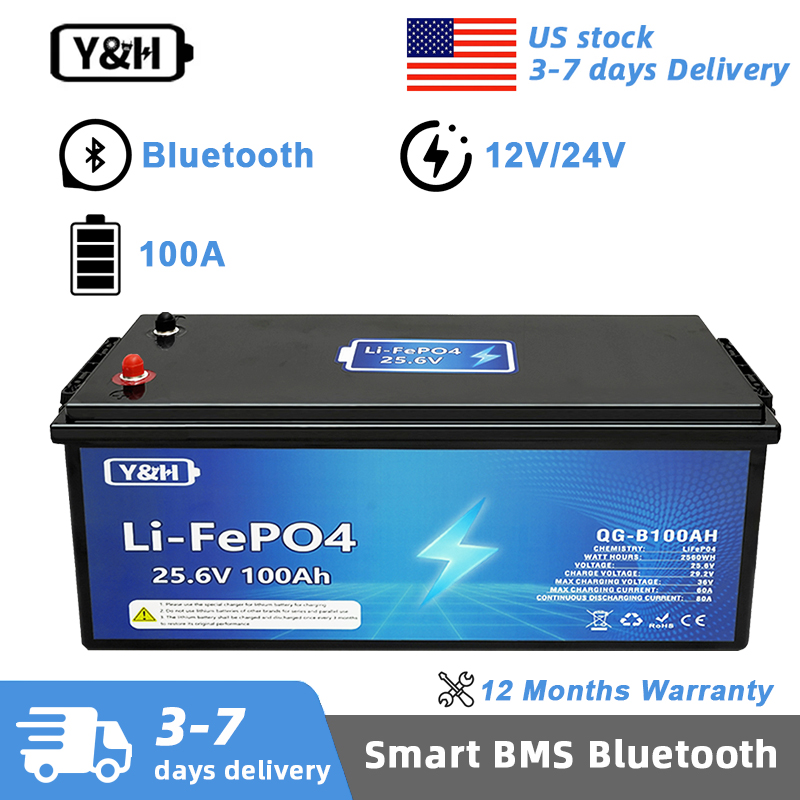 Lifepo4 12V 100Ah Bms Bluetooth - [현지 배송] Y&H 12V 24V 100Ah
