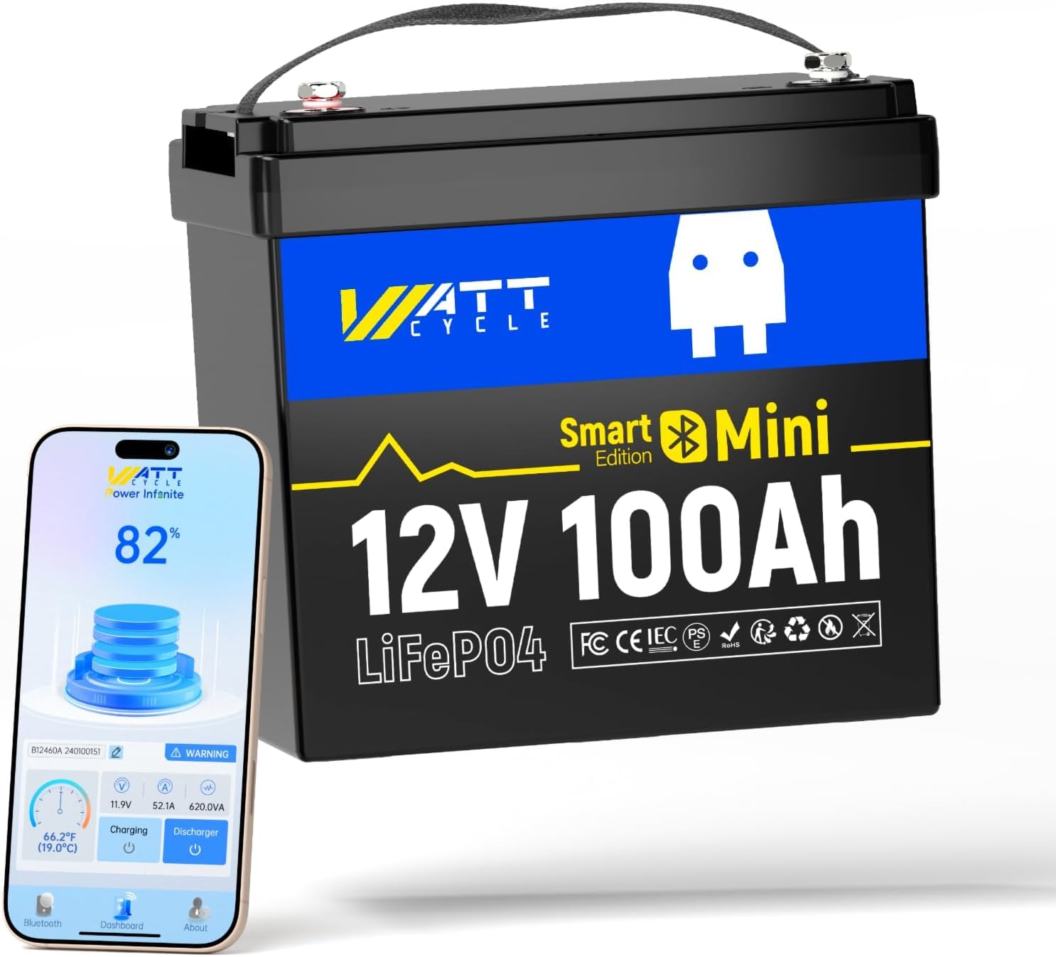 Lifepo4 12V 100Ah Bms Bluetooth - 12V 100Ah 미니 LiFePO4 배터리 그룹